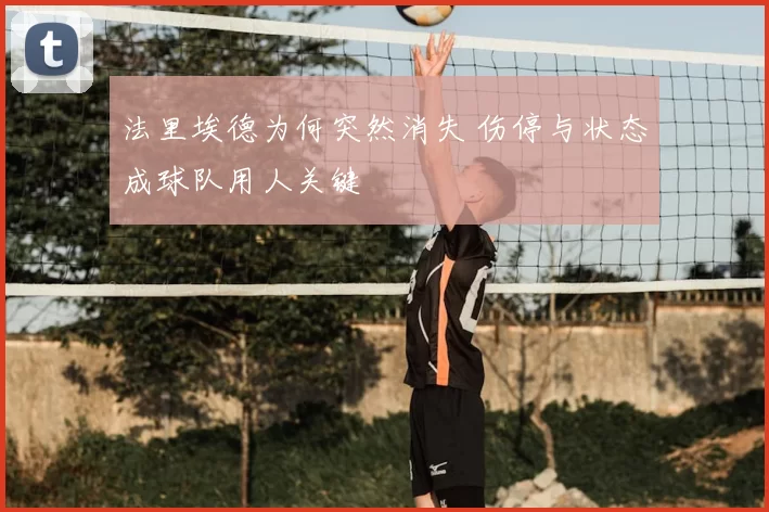 法里埃德为何突然消失 伤停与状态成球队用人关键