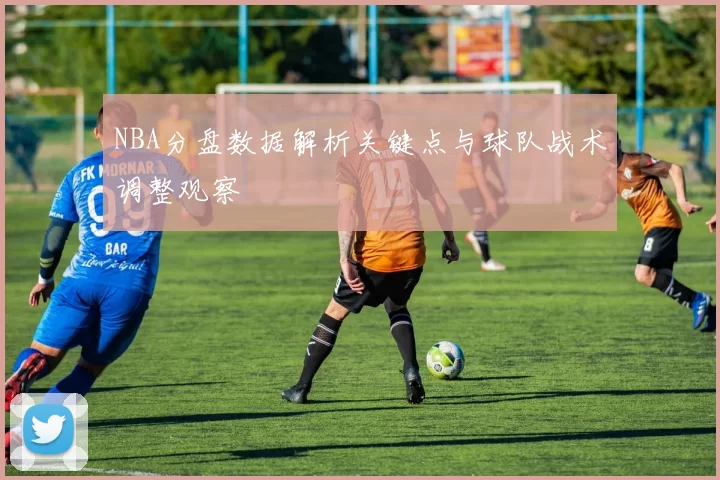 NBA分盘数据解析关键点与球队战术调整观察