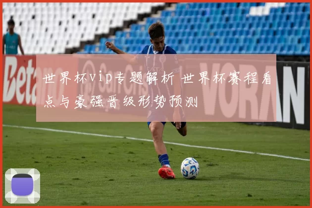 世界杯vip专题解析 世界杯赛程看点与豪强晋级形势预测