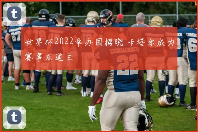 世界杯2022举办国揭晓 卡塔尔成为赛事东道主