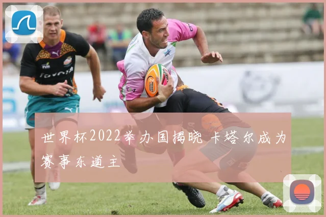 世界杯2022举办国揭晓 卡塔尔成为赛事东道主